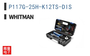 P117G-25H-K12TS-DIS ͼƬ